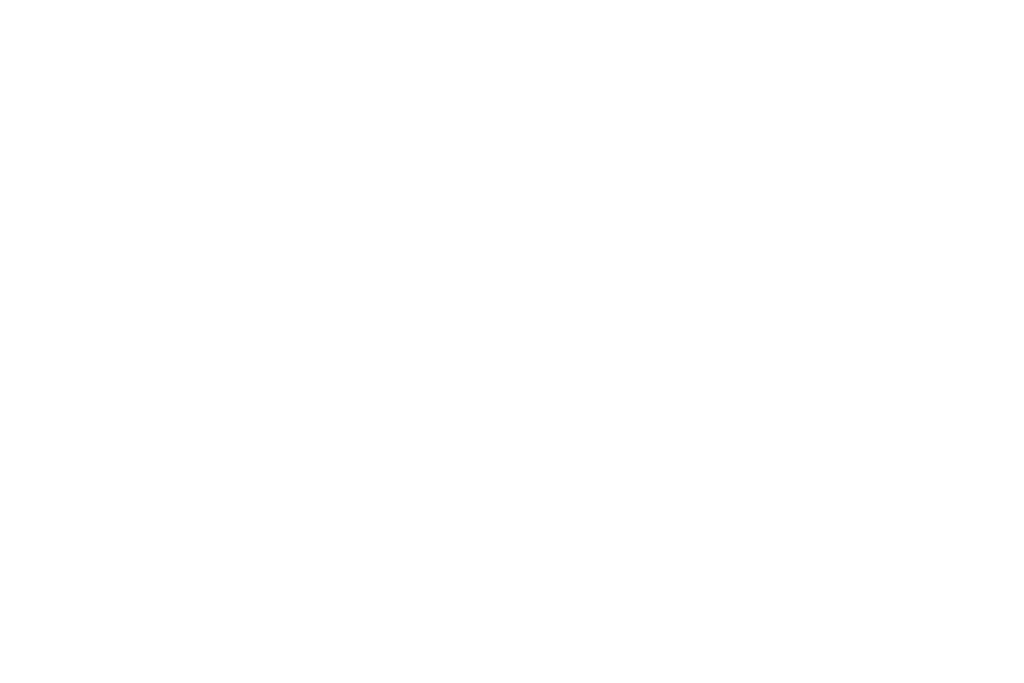Priority Plus Professionals